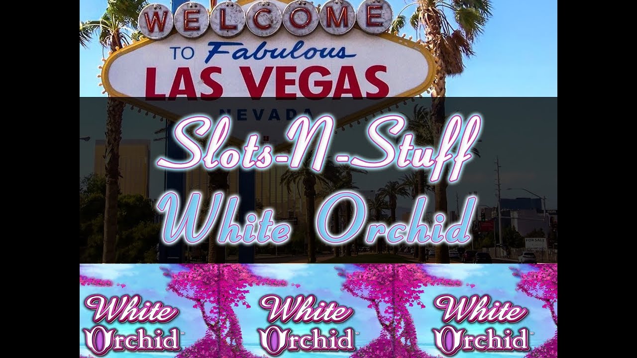 White Orchid Slot Jackpot