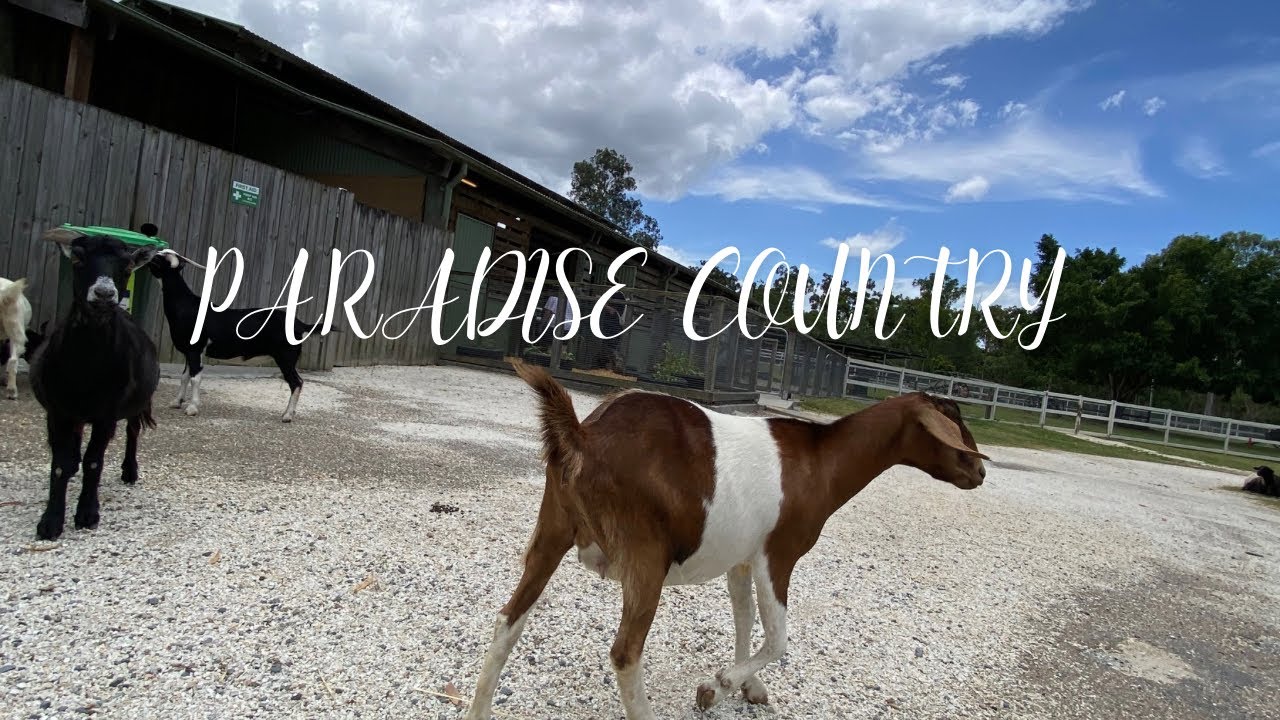 Exploring Paradise Country: Our Queensland Adventure