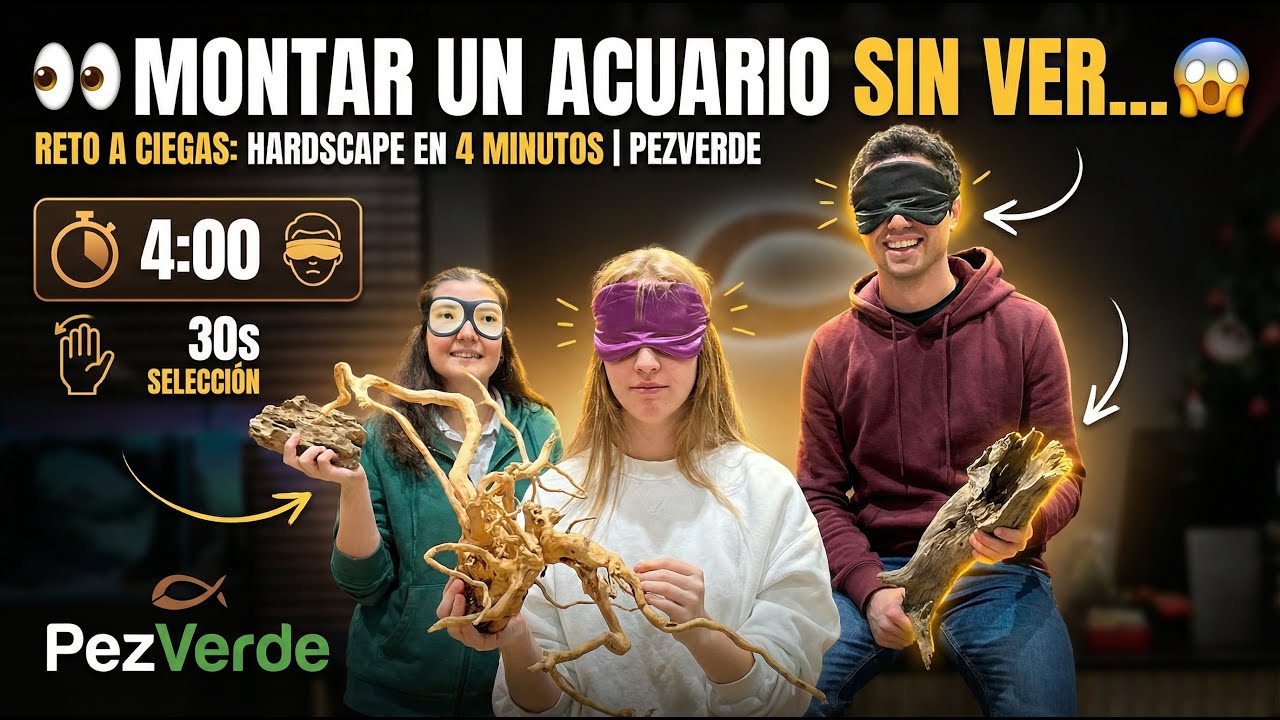 👁️‍🗨️ Montar un acuario SIN VER… 😱 Un reto que nos abrió los ojos | PezVerde