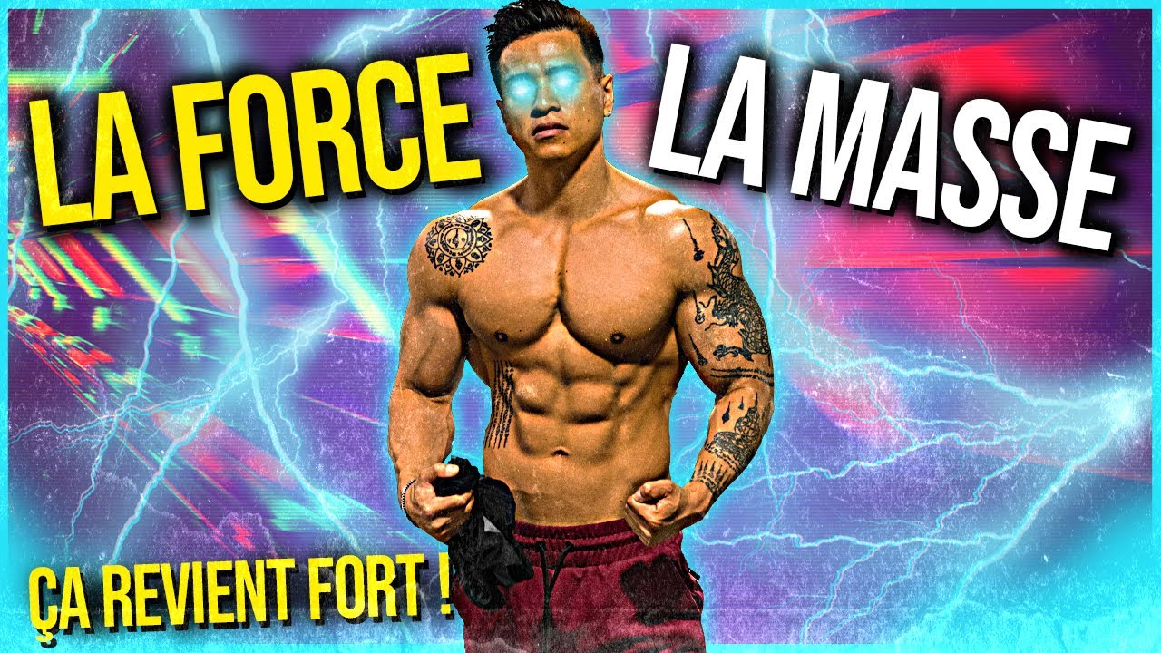 LA FORCE ET LA MASSE MUSCULAIRE REVIENT! 