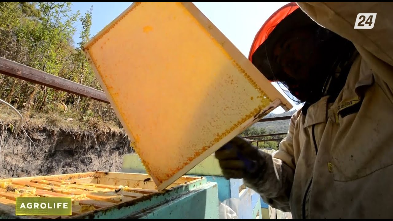 Еліміздегі омарта шаруашылығы | AGROLIFE