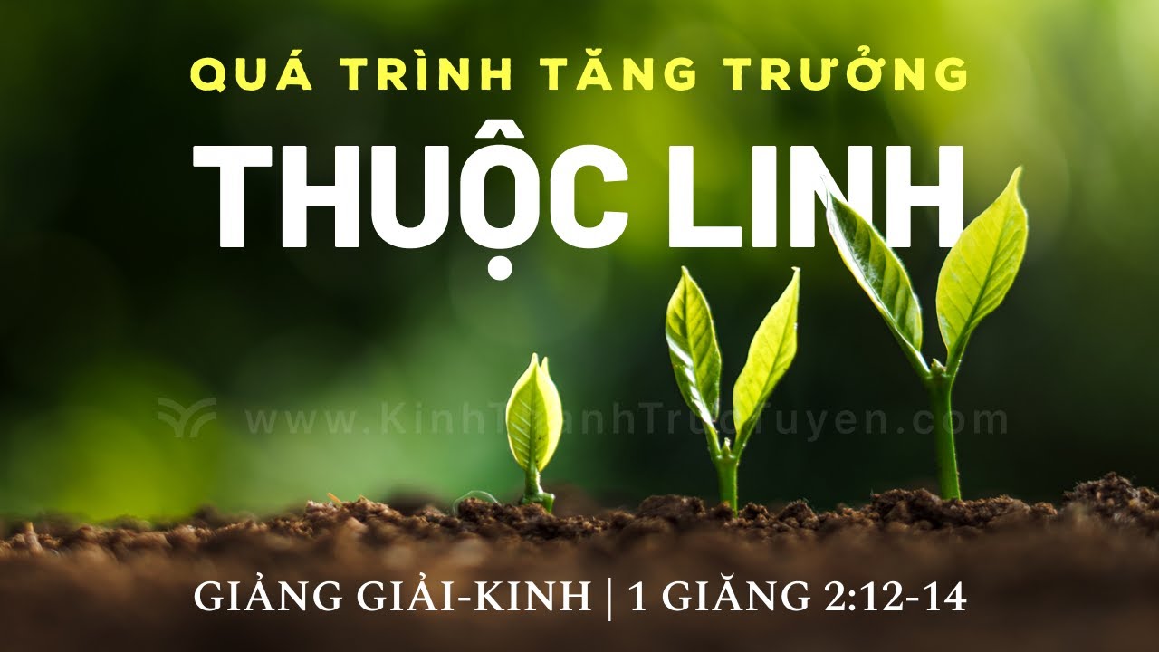 Quá Trình Tăng Trưởng Thuộc Linh | 1 Giăng 