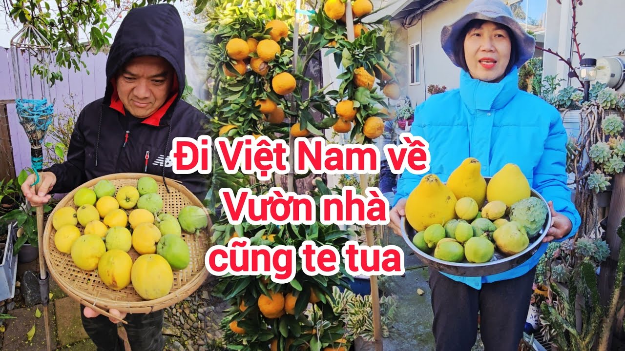 Toàn cảnh nhà ở Mỹ của Thảo, tấp nập bà con đi gửi đồ về cho gia đình ở Việt Nam ăn tết 