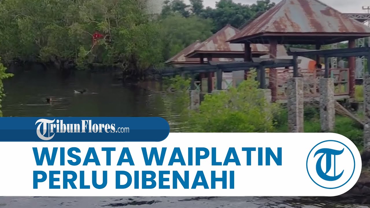 Wisata Waiplatin Larantuka Flores Timur Perlu Dibenahi Biar Ramai Dikunjungi