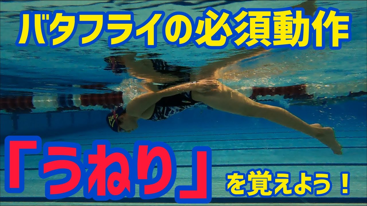 【バタフライ編】基礎の動作！まずはうねりを覚えよう！