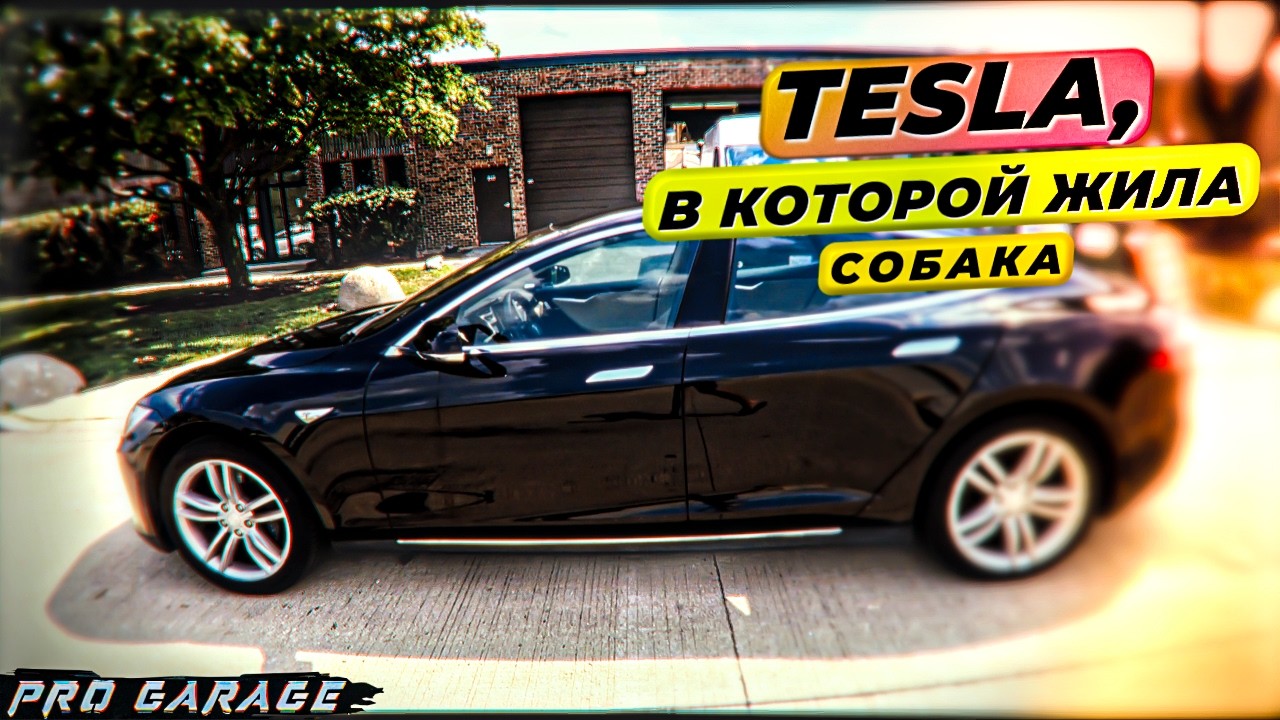 Tesla в которой жила собака.Продолжение ремонта мотора, результаты.Коля путешествует на поезде