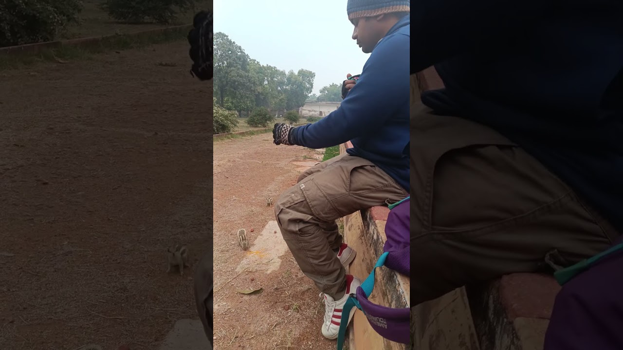 Mere zindagi#love #music#song #nature #viral#trendingshorts #shortsfeed #shorts #shortsviral #trend