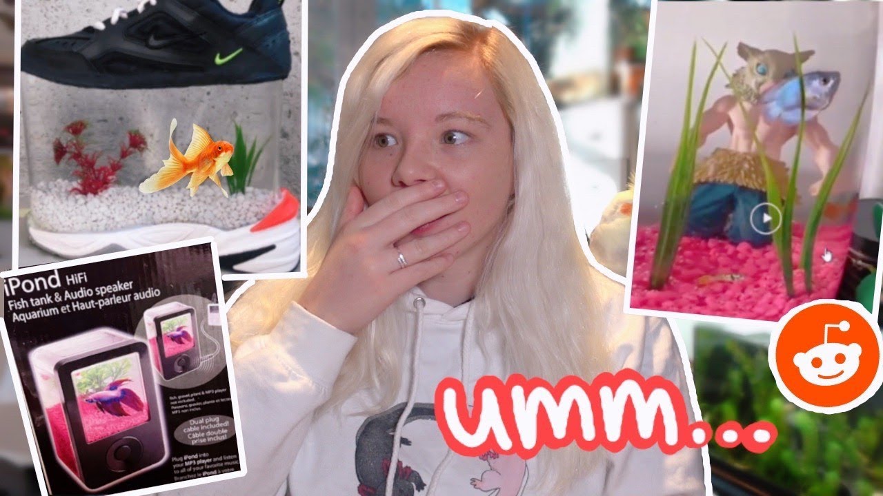 Pet Youtuber REACTS TO AWFUL AQUARIUMS