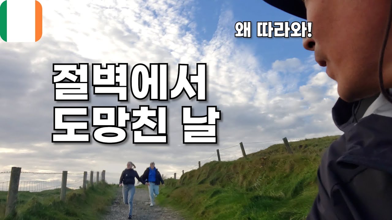 🇮🇪 절벽 끝에서 살기 위해 뛰었다. 아일랜드 캠핑카 세계여행 강아지 유럽 여행 유라시아 횡단 내차타고 세계여행 [087]