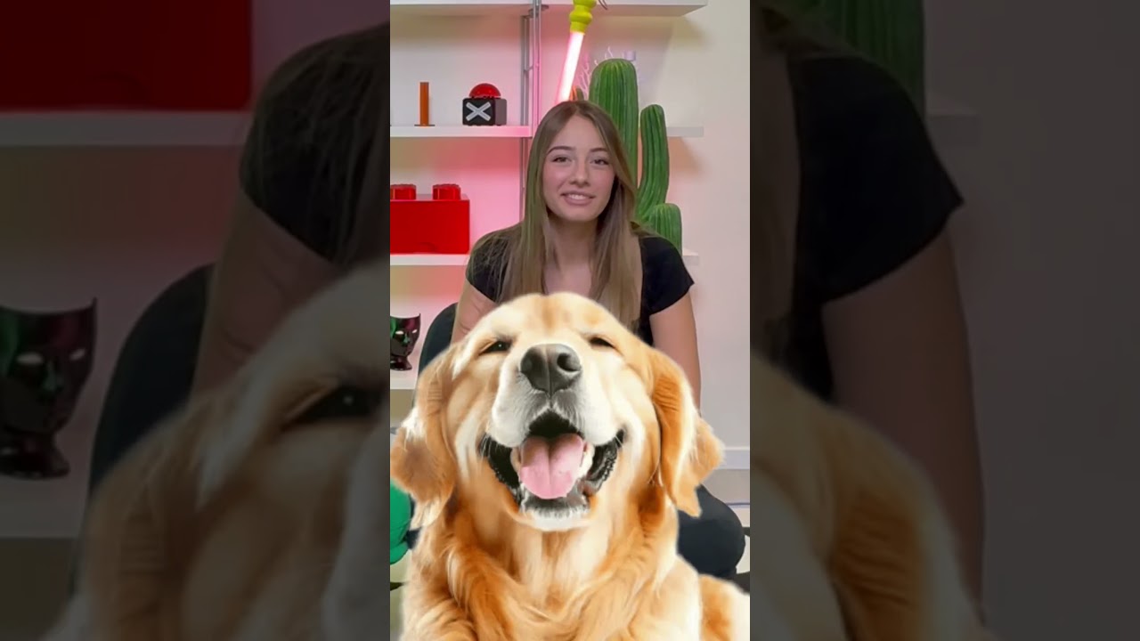 Zoom con Viola Silvi👀 #wearezoomer