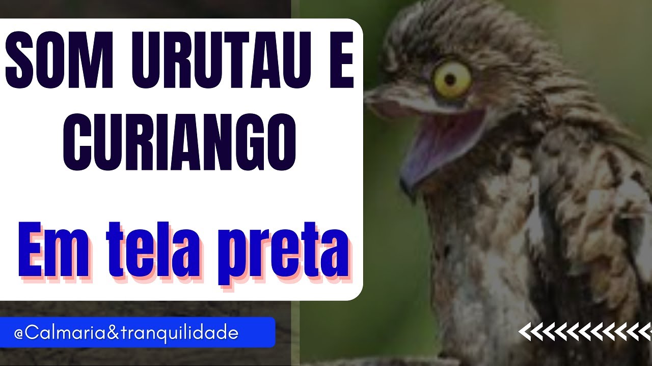 tela preta  pra dormir - canto do curiango e urutau ave noturna