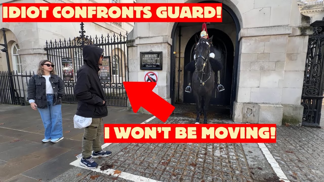 Disrespectful Tourist Confronts Horse Guard Over New Rules - See What Happens NEXT!