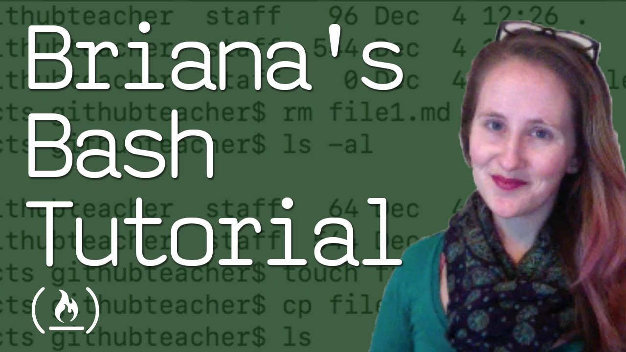 Bash Tutorial: How to Use the Command Line in Linux, Windows, and Mac Terminal