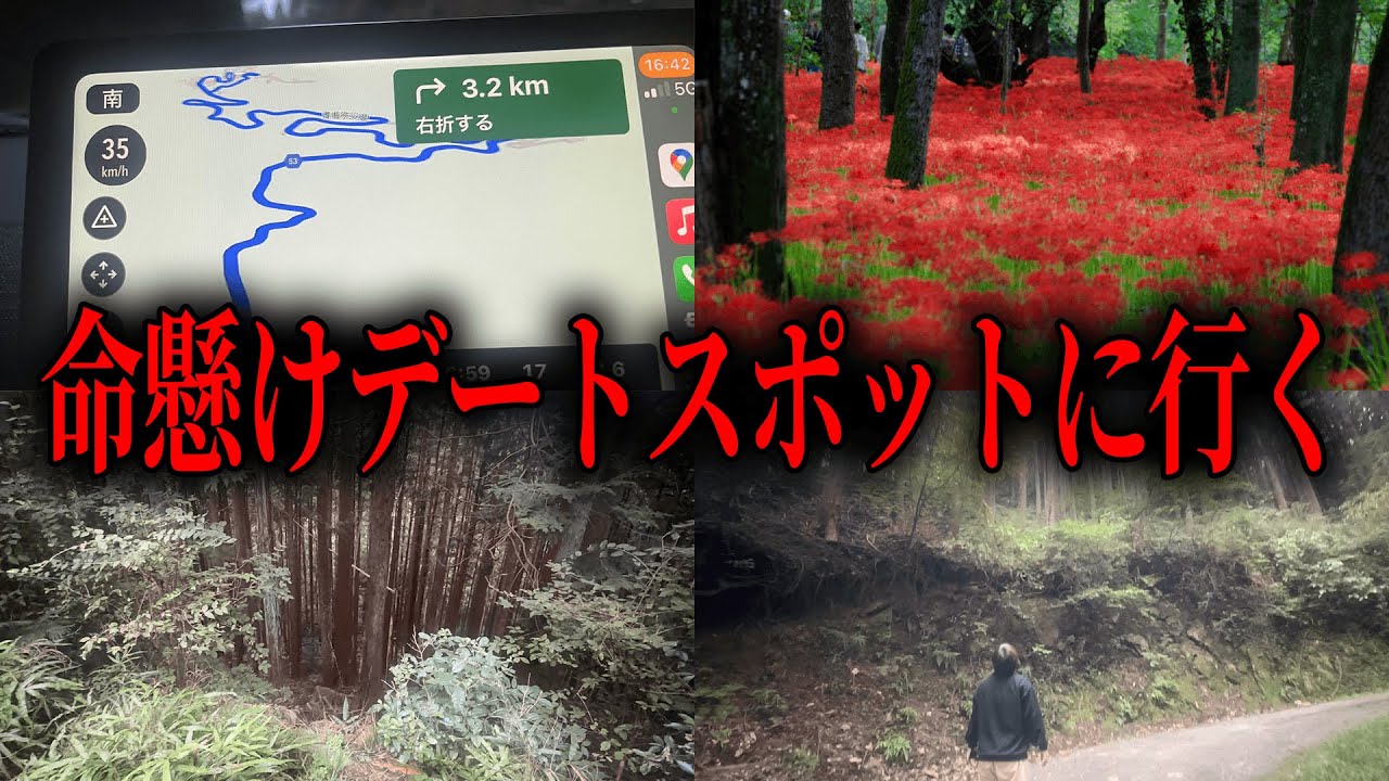【知らなきゃ損】埼玉のオススメドライブデートスポットを巡る限界社会人達