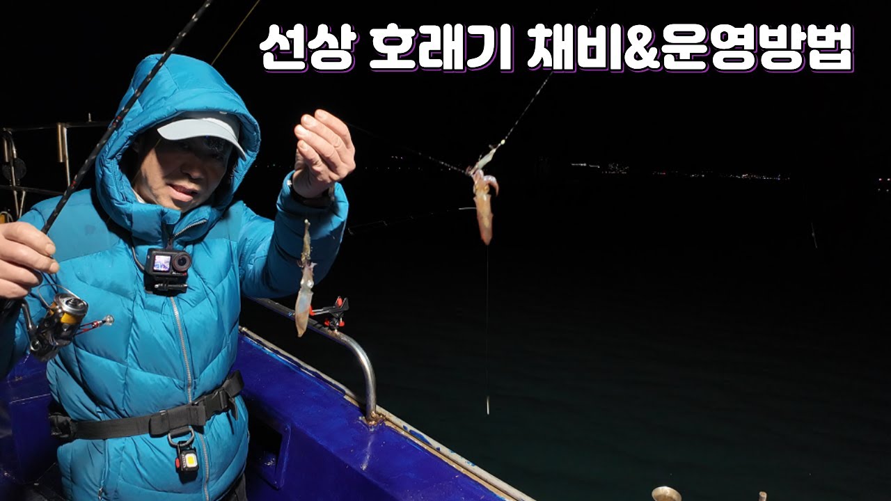 선상 호래기 채비 액션 운영방법