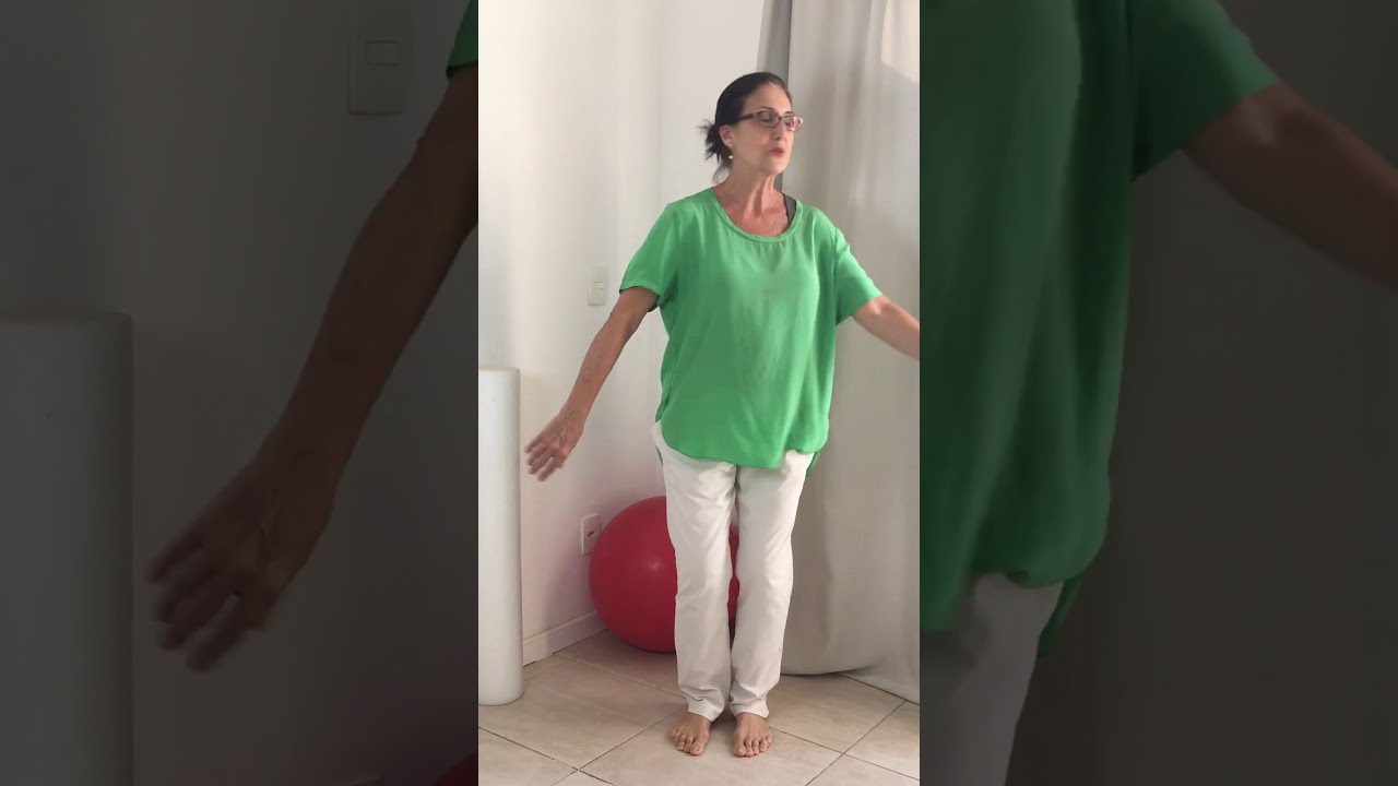 Transferências de apoio