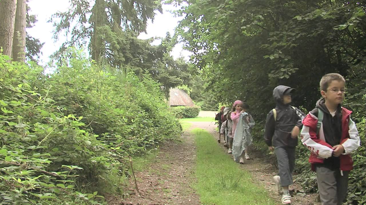 Présentation de La Chaumière aux Poneys