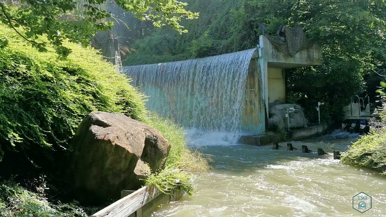 DinoRaft - Onride - Rapid River - Alsthom / Soquet - Walygator Grand Est