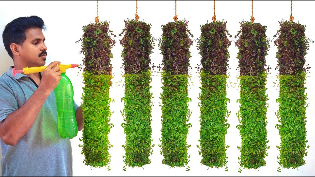 How to Make Amazing Vertical Hanging Plants Ideas / Hanging Garden Ideas / Planting Ideas