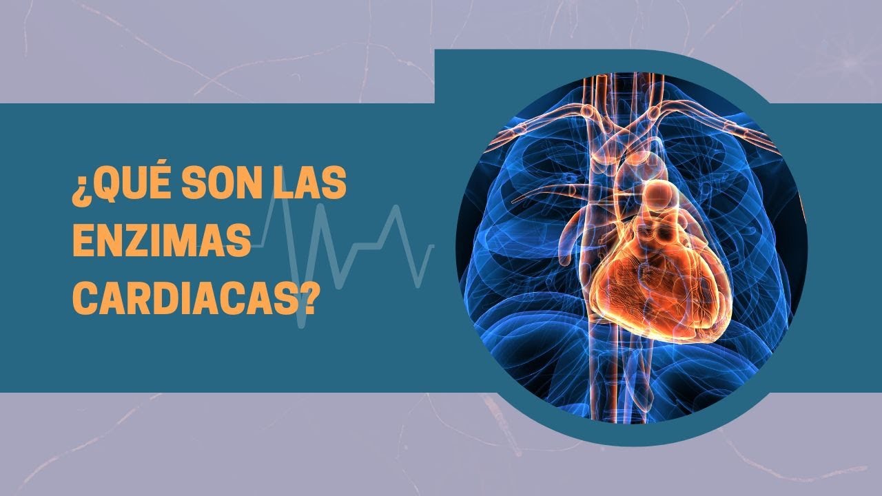 ¿Qué son las enzimas cardiacas?