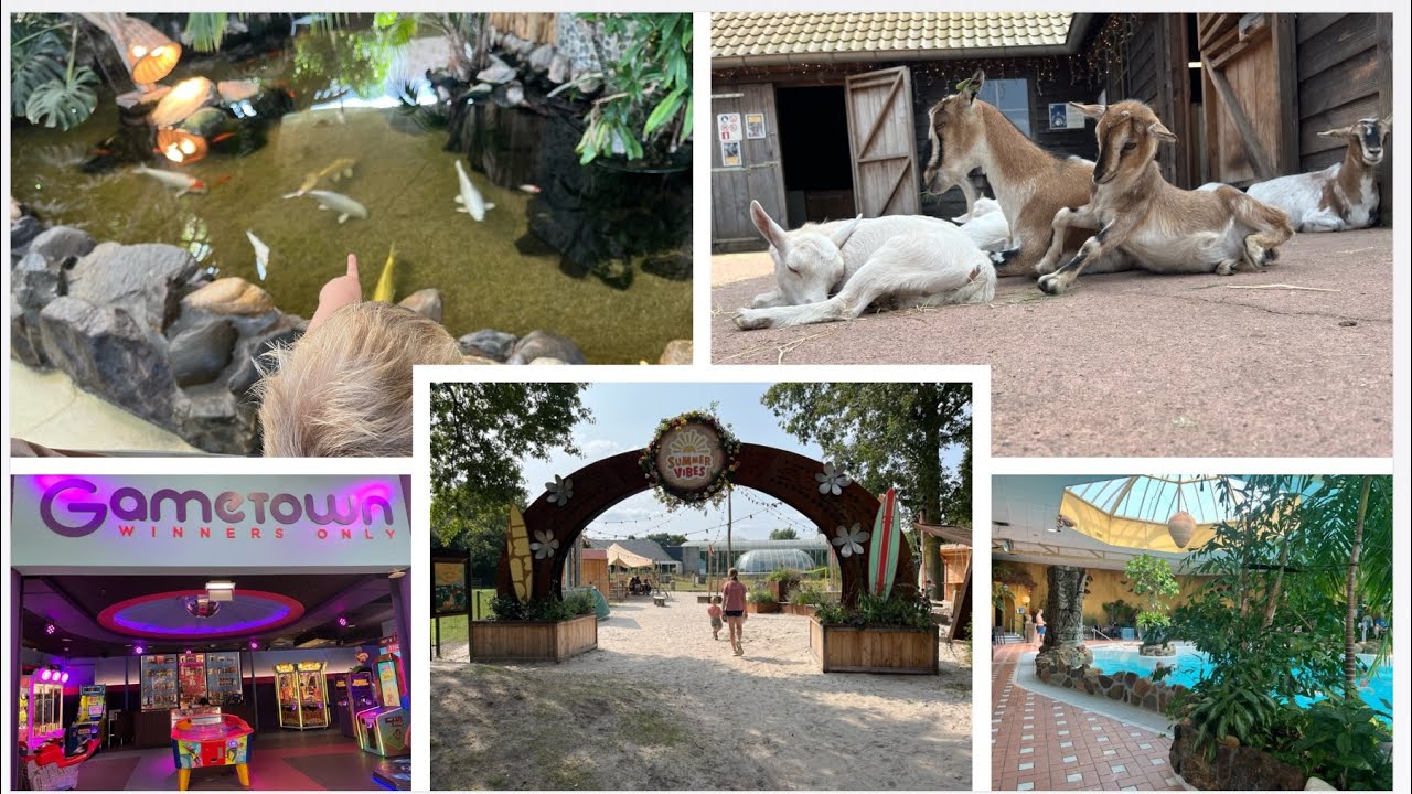 Center Parcs Limburgse Peel NL Tagesausflug August 2024 mit Kleinkind 👍👎?