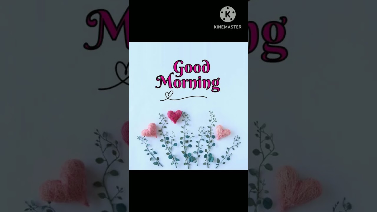 BEAUTIFUL GOOD MORNING IMAGES #shorts