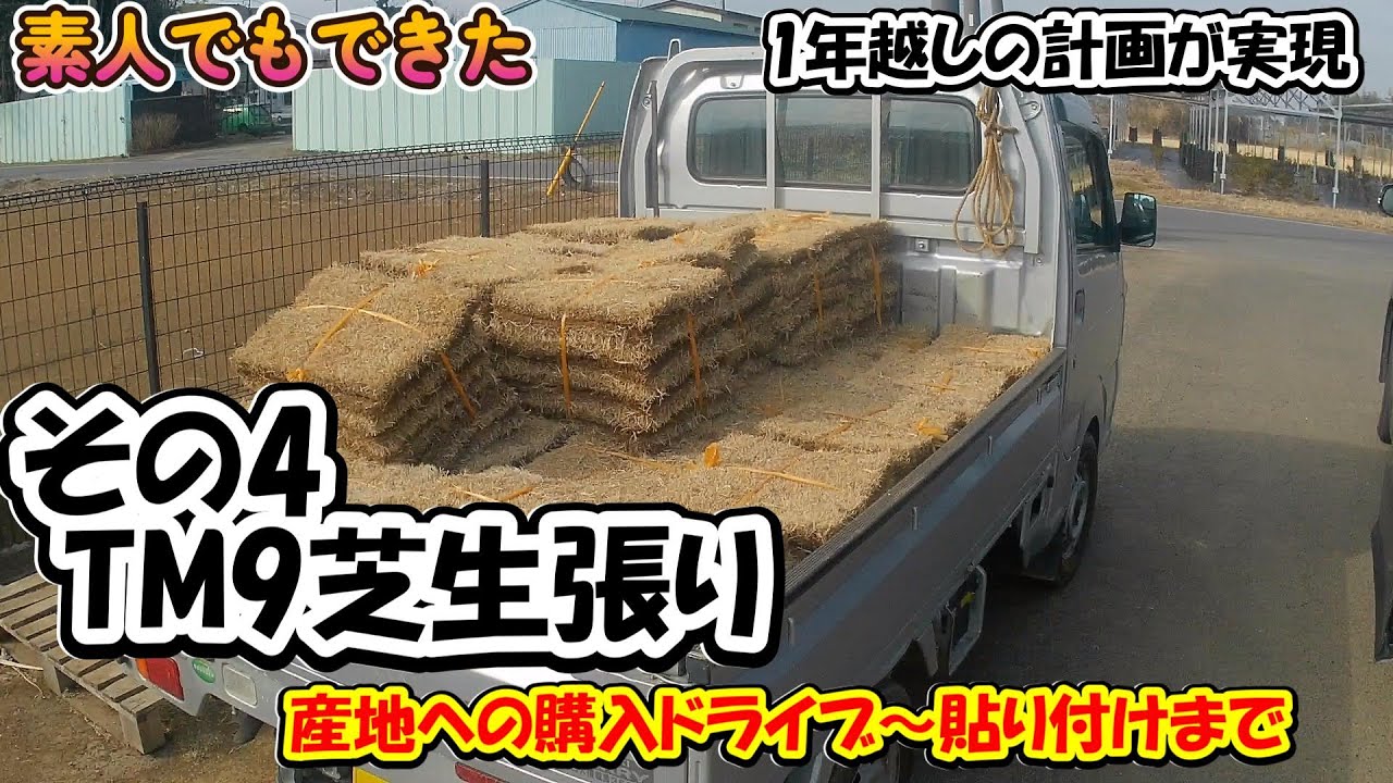 芝生⑦芝生張り