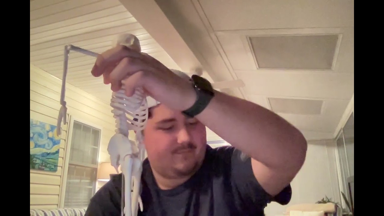 Skeleton bone listing Bio168