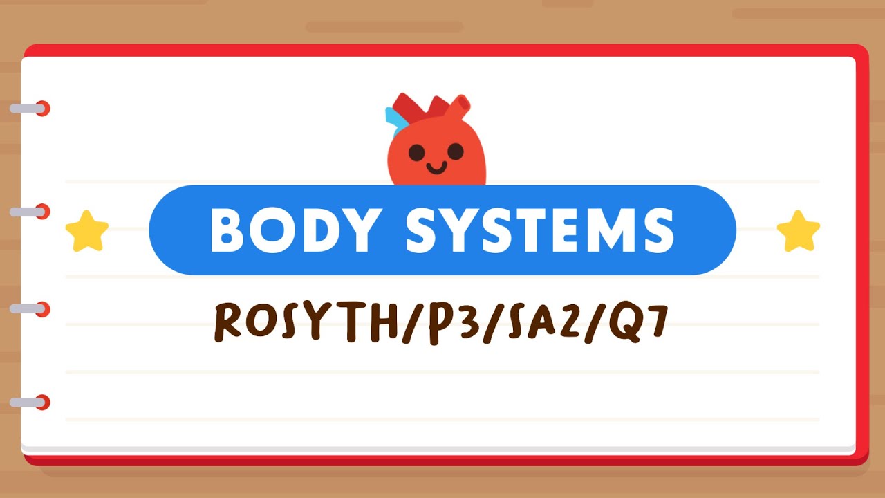 PSLE SCIENCE MADE SIMPLE EP175 | Body Systems | Which Is Not A System? 🧐
