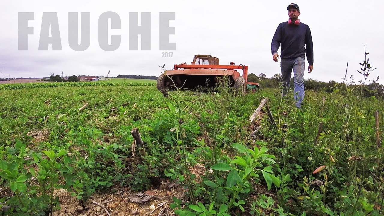 Fauche de la luzerne fourragère - 2017
