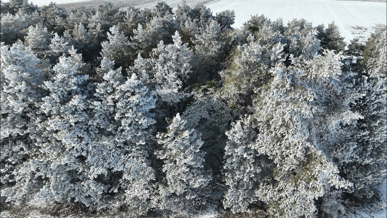 Where the Road Cuts the Winter – Cinematic Aerial 4K