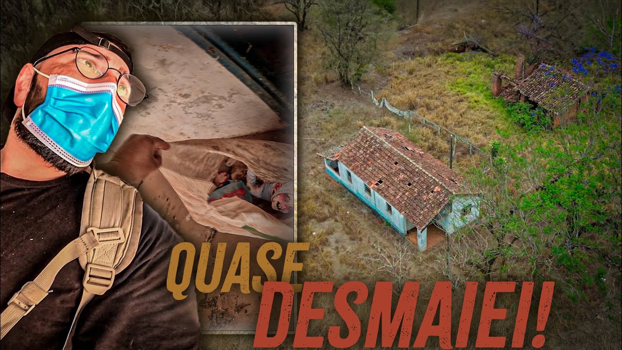 UM CHEIRO HORRÍVEL VINHA DE DENTRO DESSA CASA, E AO INVESTIGAR, TIVE UMA SURPRESA DESAGRADÁVEL!