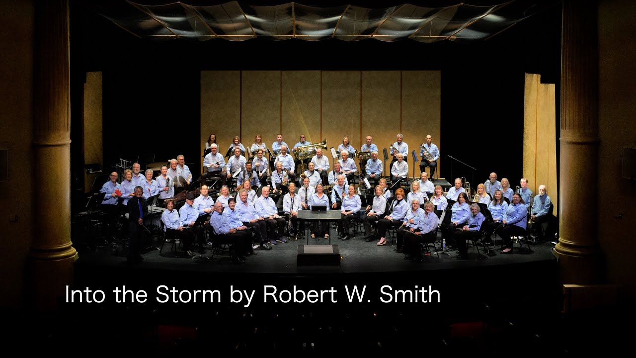Into the Storm by Robert W Smith
