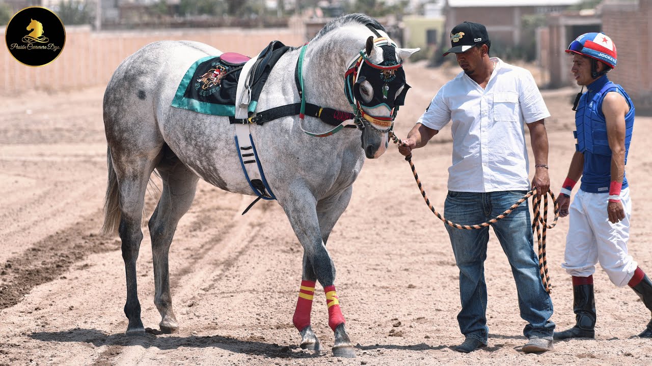 EL BANDIDO CUADRA LUCERO C4 VS CHOCOLATE AMARGO CUADRA LA ESPERANZA 350v CARRIL 2000 DGO/ZAC VS CHIH