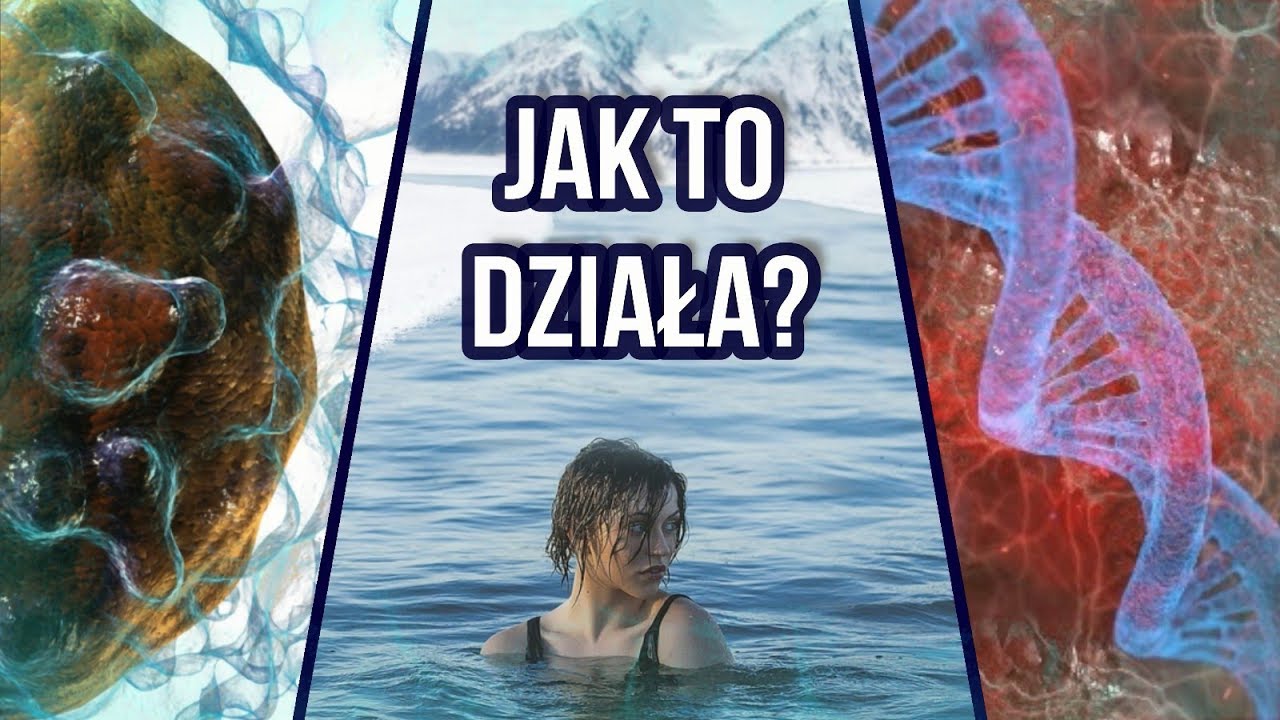 Naukowy wpływ zimna na organizm - 300 zimnych pryszniców