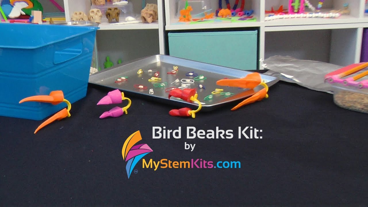 Bird Beaks Kit
