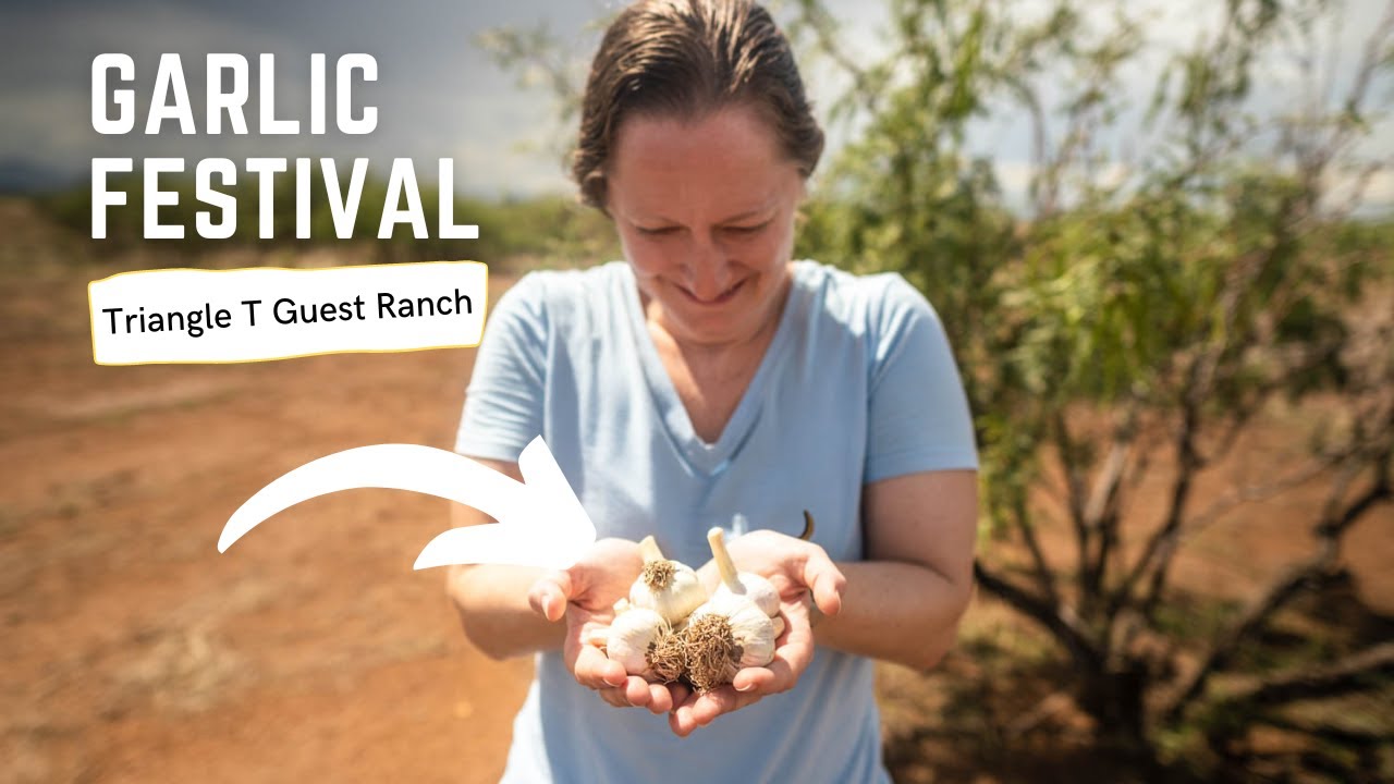 Garlic Festival at Triangle T Ranch in Dragoon, AZ