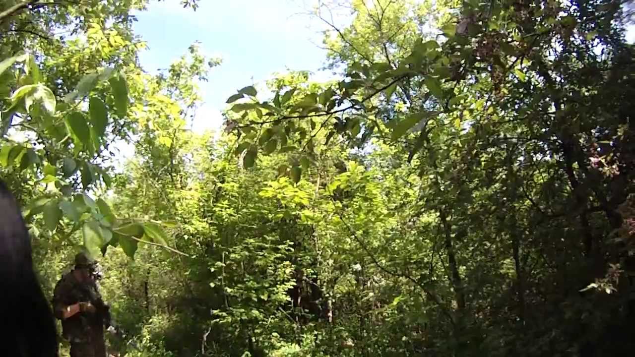 Forest patrol 5-18-13