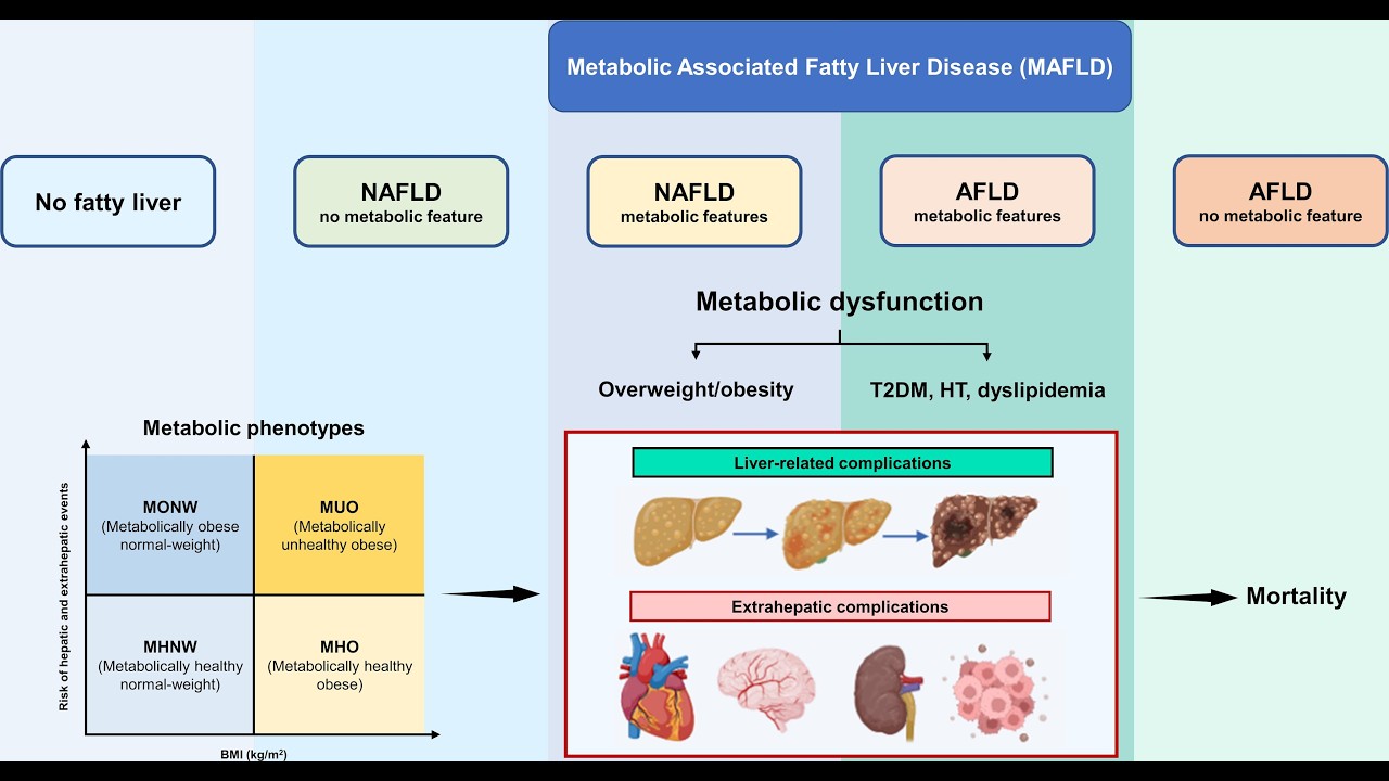 lec 4 Toxic response to liver part two