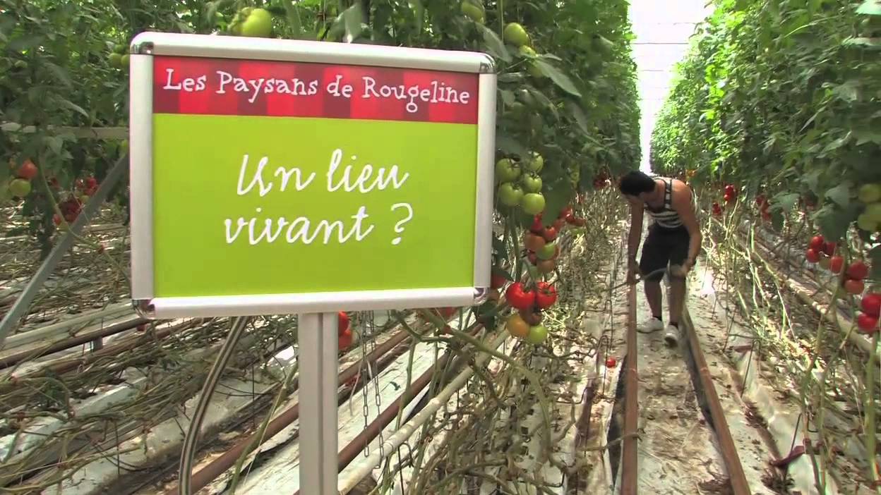 jpo Rougeline chez JP Perez.mov