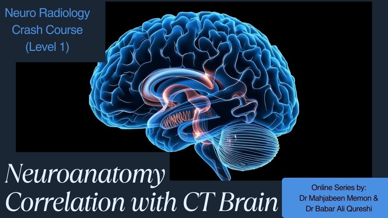 Neuroanatomy Correlation with CT Brain.