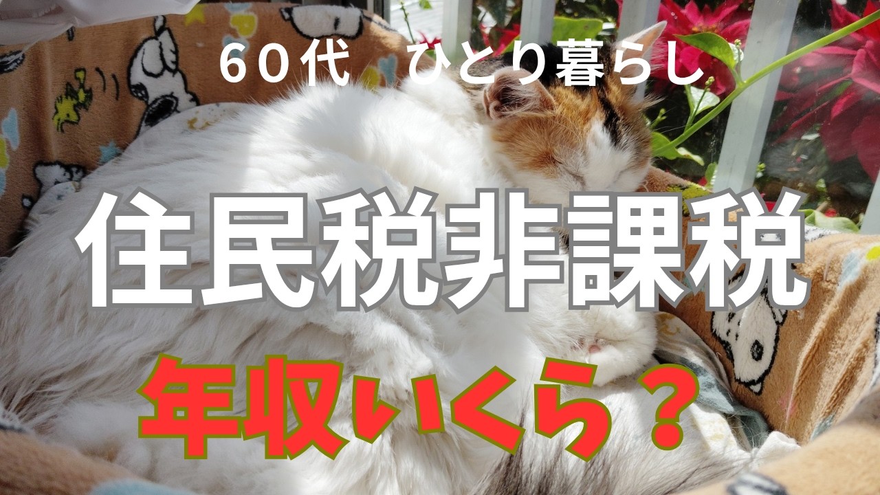 【６０代のお金と暮らし＃2】あなたは所得いくらですか？住民税は？私は今年薬代が安くなる住民税非課税になれるか？