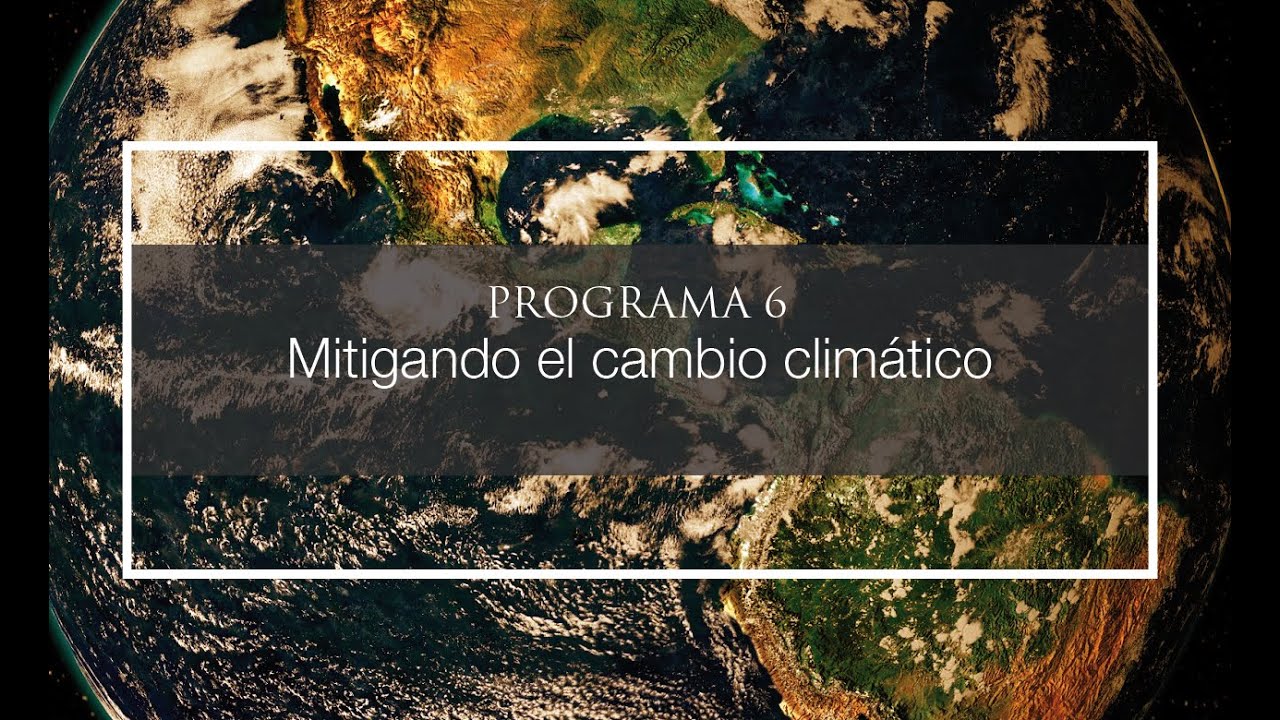 Programa 6 - Mitigando el cambio climático