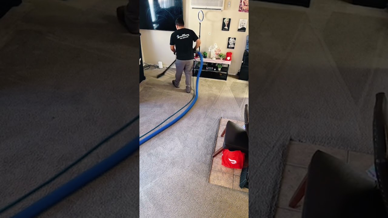 ASMR voice intro steam cleaning a filthy living room 