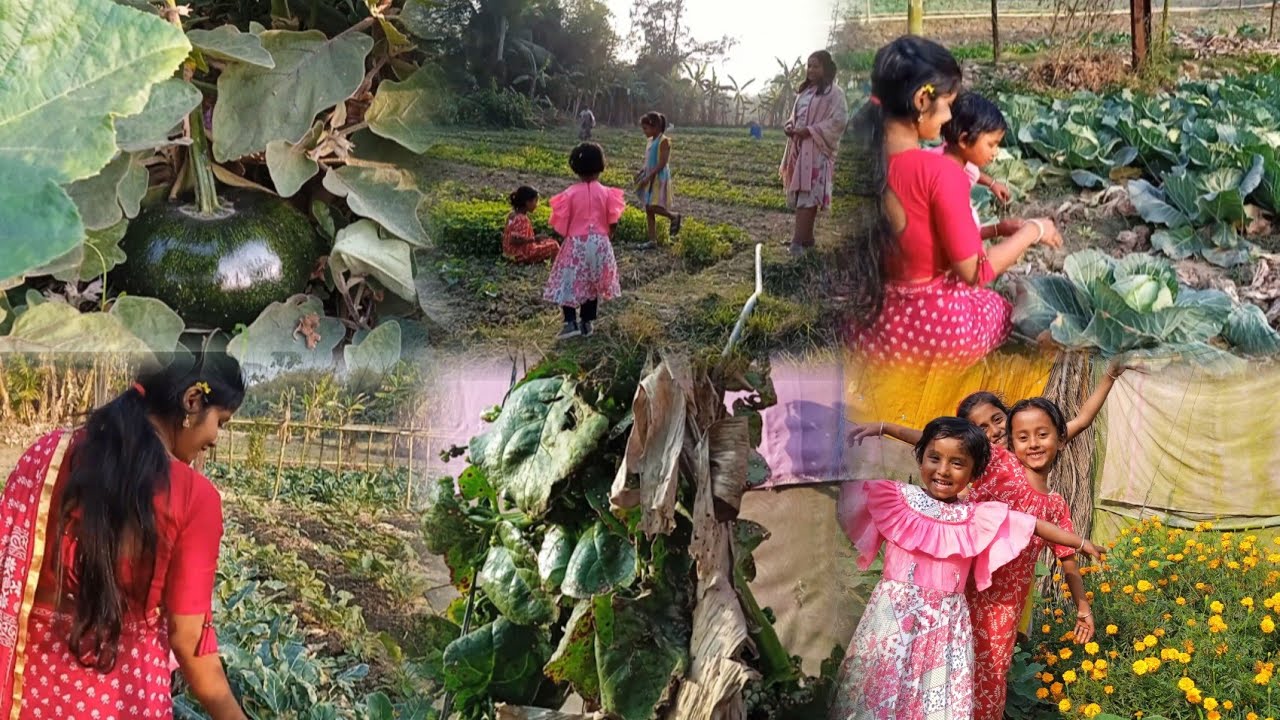 মিমির মামা বাড়ির মাঠে কী কী সবজি হোয়েছে চলো দেখে আসি