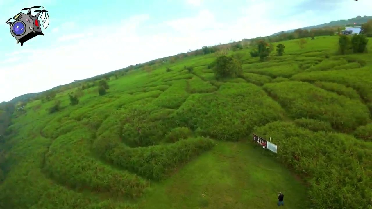 Laberinto Verde: FPV Drone en Finca Pastoreo, Dorado PR