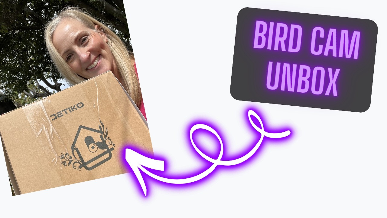 Bird Feeder Camera Unboxing | Solar Power, Night Vision & AI Identification