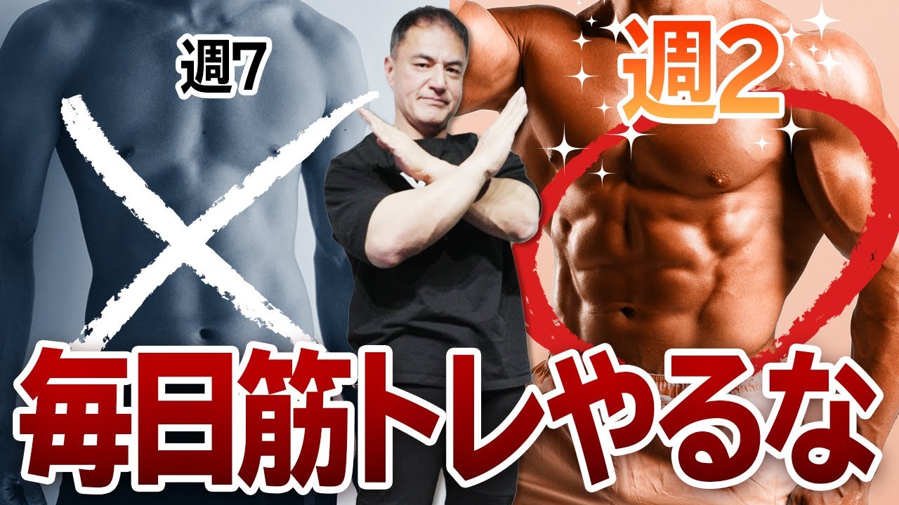 筋トレの頻度と筋肥大は比例するのか？プロが詳しく説明します。