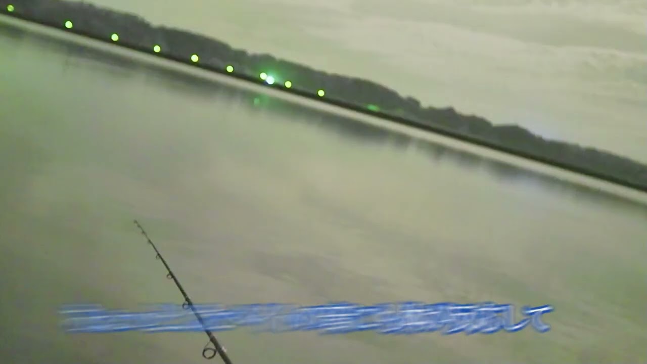 【バラシのみ】涸沼夜のシーバス　魚は何処に居るんだか・・・　【何も無し！】