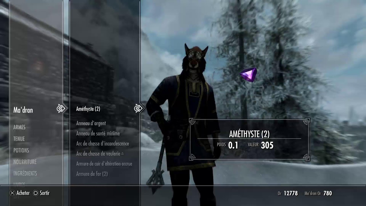 SKYRIM#10 Engagez vous dans la légion qu'ils disaient